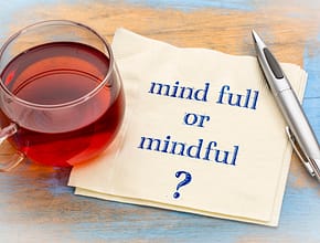 Mind full or mindful question
